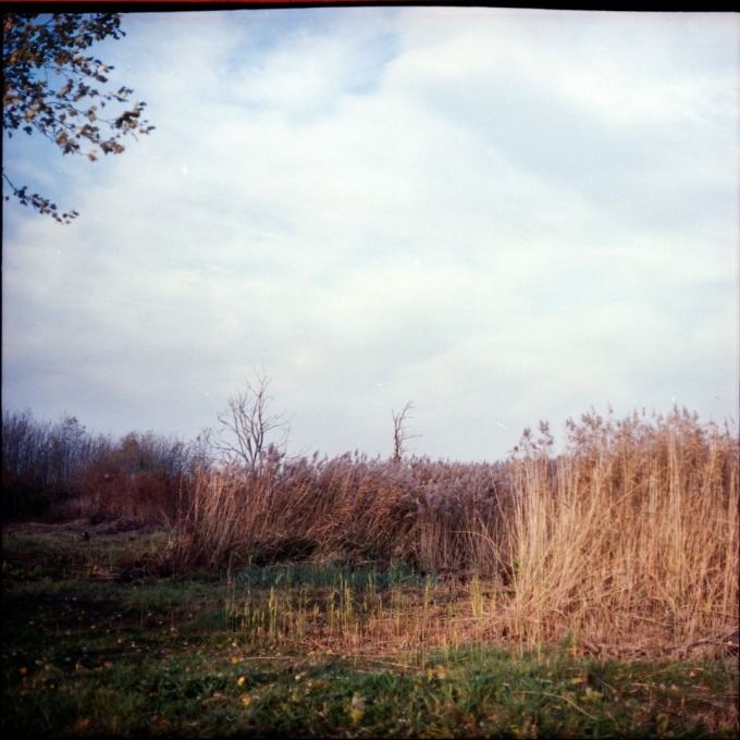 Martin and the Island of birds (SVK)