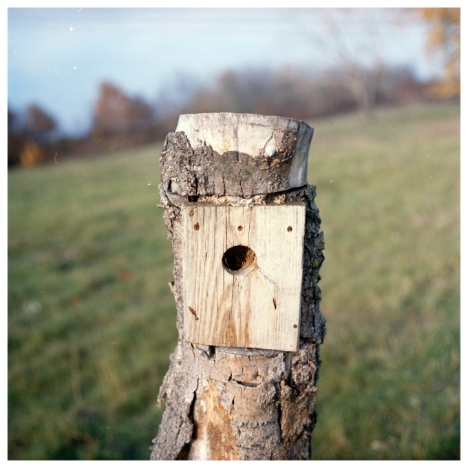 Martin and the Island of birds (SVK)