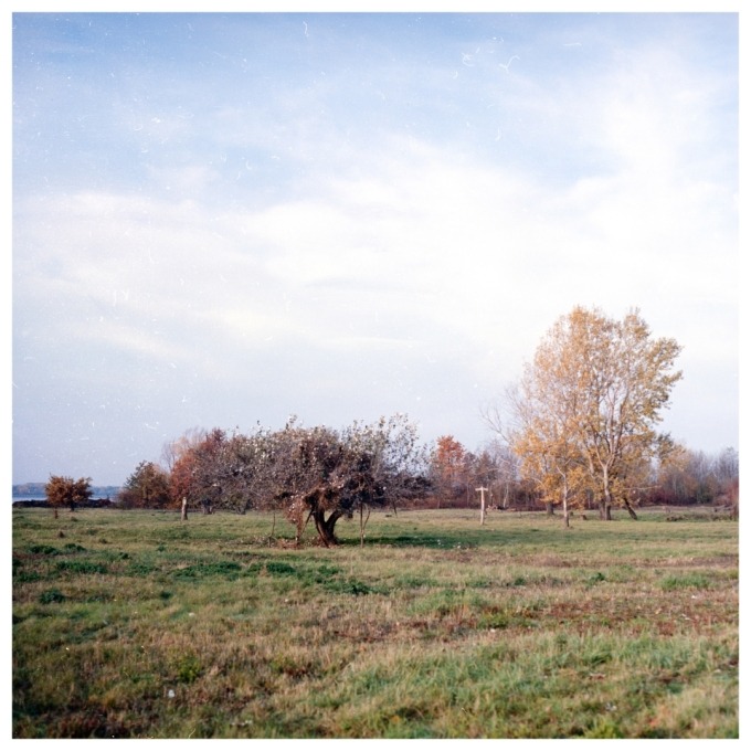 Martin and the Island of birds (SVK)