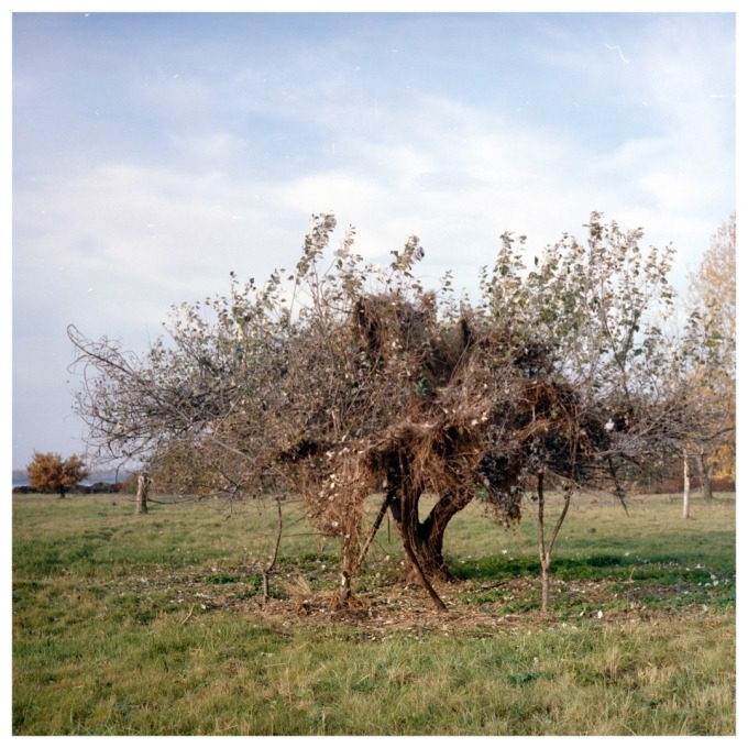 Martin and the Island of birds (SVK)