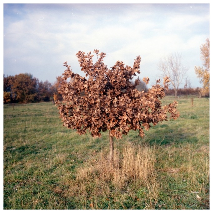 Martin and the Island of birds (SVK)