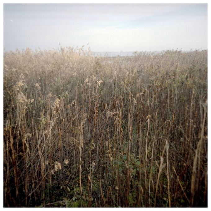 Martin and the Island of birds (SVK)