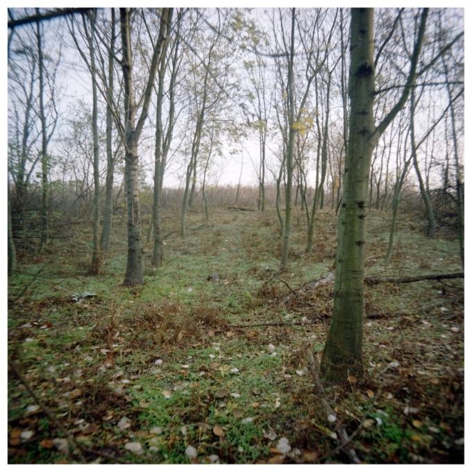 Martin and the Island of birds (SVK)