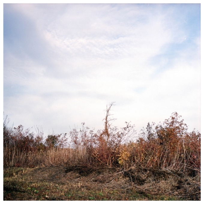 Martin and the Island of birds (SVK)