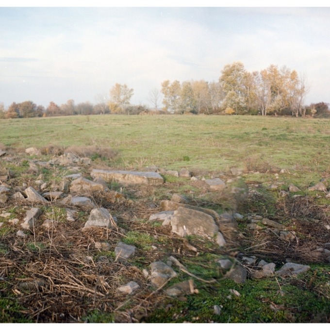 Martin and the Island of birds (SVK)